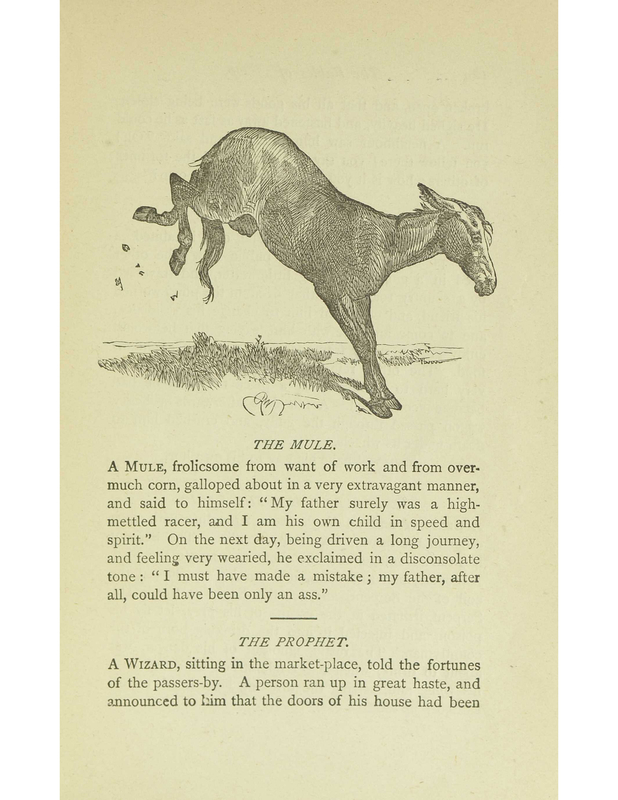The Mule