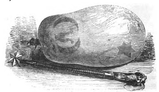 [Inflated bladder used by Flappers on Laputa]