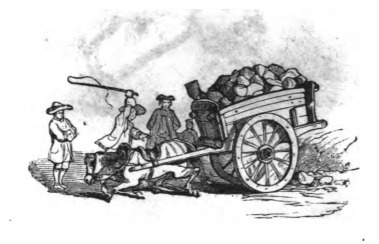 [common horses working pulling a cart]