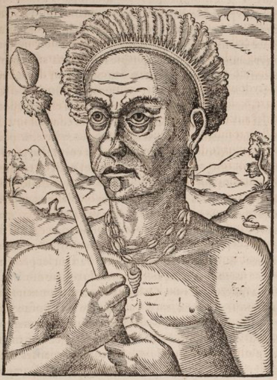 Pourtraict du Roy Quoniambec.