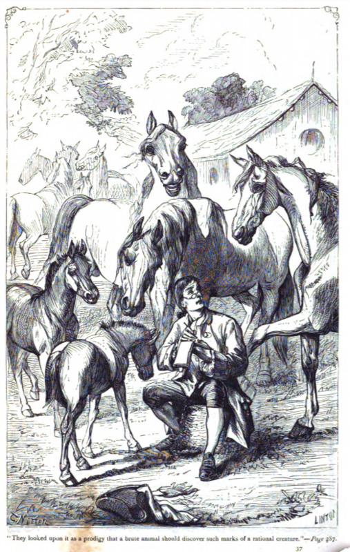 “They looked upon it as a prodigy that a brute animal should discover such marks of a rational creature.” - Page 287