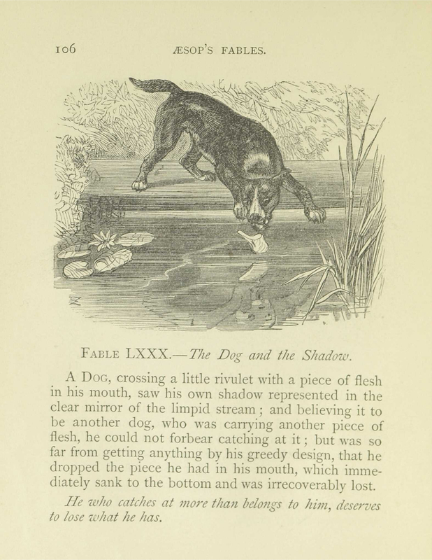 The Dog and the Shadow