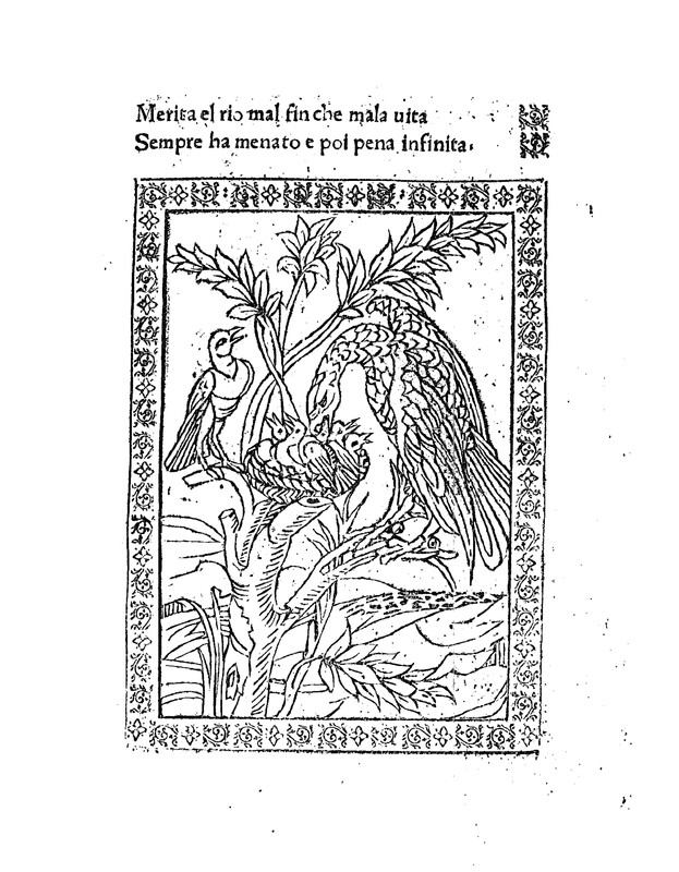De Phil omena et Accipitre. Fabula XXXXVII