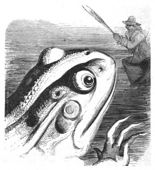 [Gulliver encounters a frog while sailing]