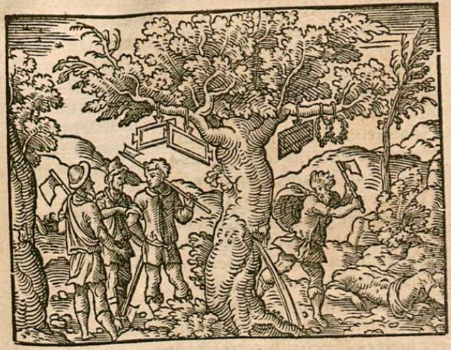 Erisichton hauwet einen Eichbaum umb
