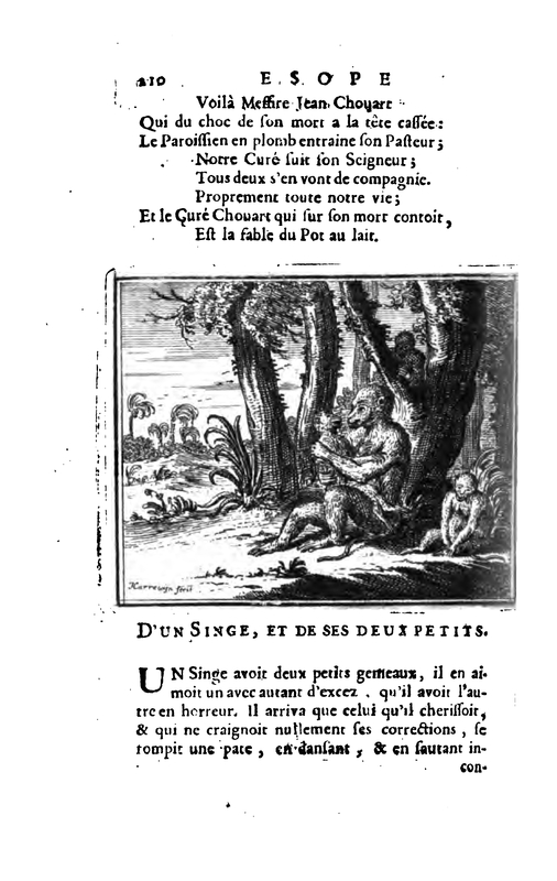 vol 1. D'un Singe, et de ses deux petits