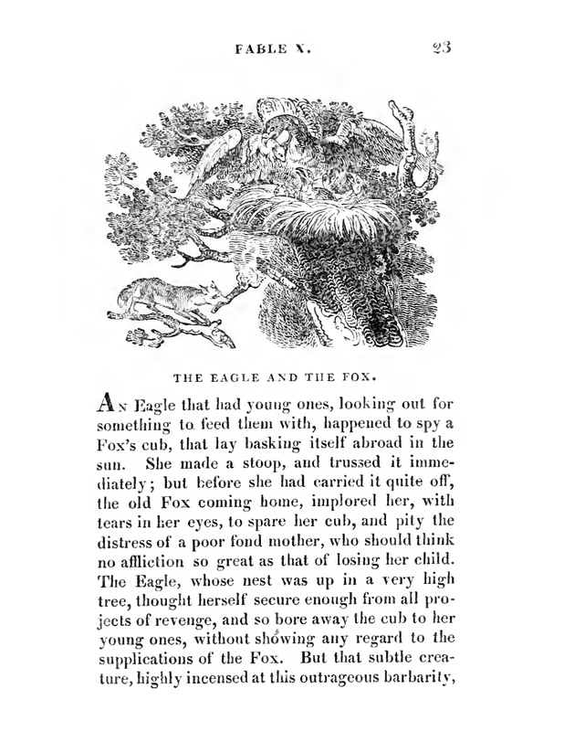 The Eagle and The Fox