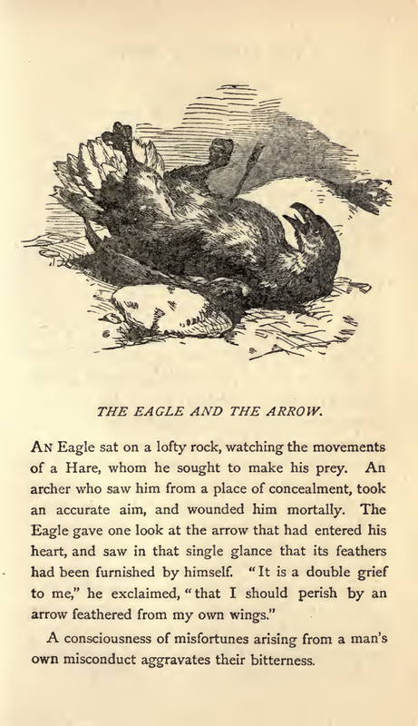 THE EAGLE AND THE ARROW