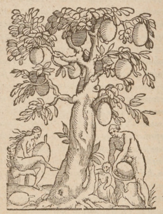 [Indigenous Brazilian man, woman, and child under a tree]