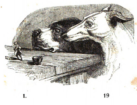 I. 19
