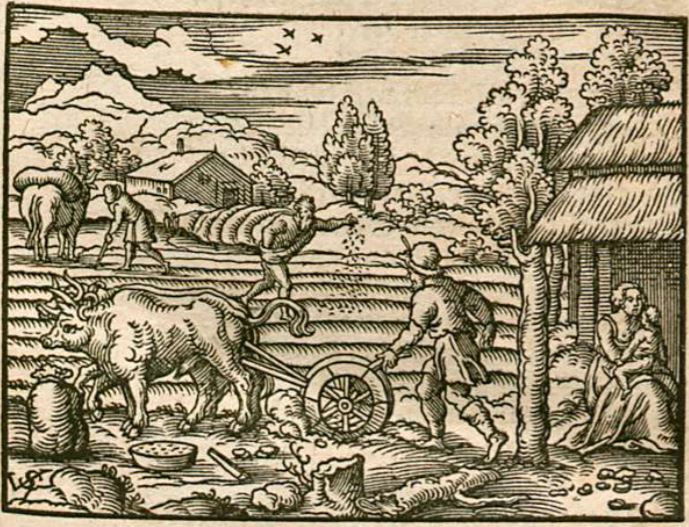 Die Silberin zeit