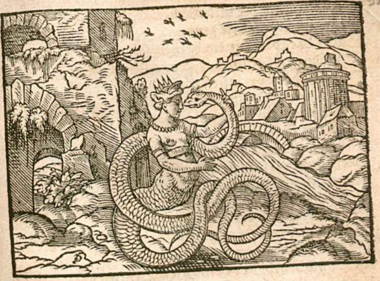 Cadmus und Hermione in Drachen
