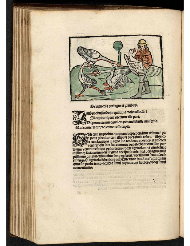 Be agricola pergamo et gruibus.