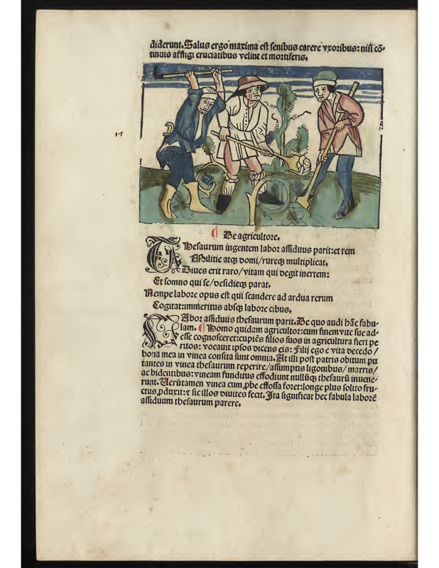 Der Ackerbauer