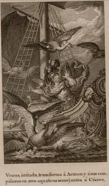 Venus, irritada, transforma a Acmon y a sus companeros en aves aquaticas semejantes a Cisnes