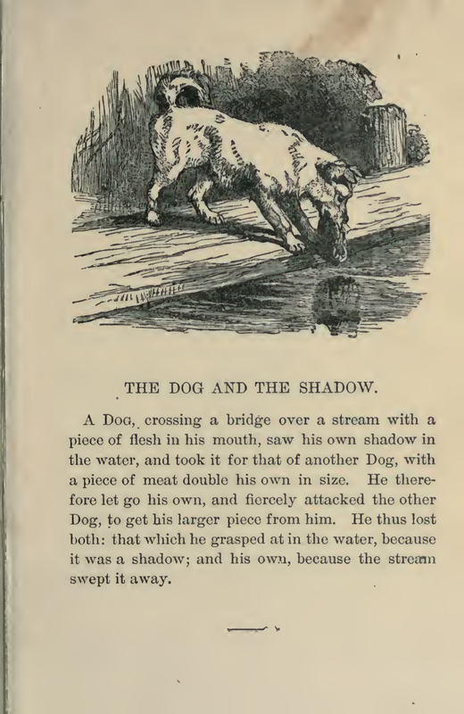 The Dog and the Shadow
