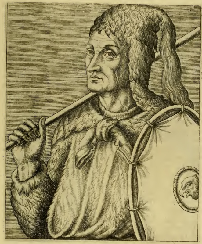 Paracovssi, Roy de Platte