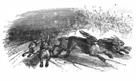 [rabbits running, representing Lilliputian children]