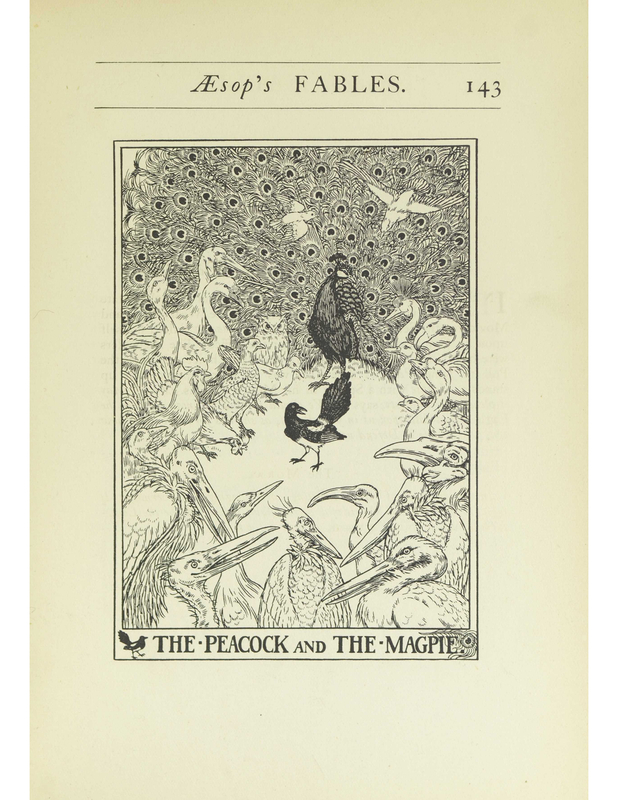 The Peacock And The Magpie