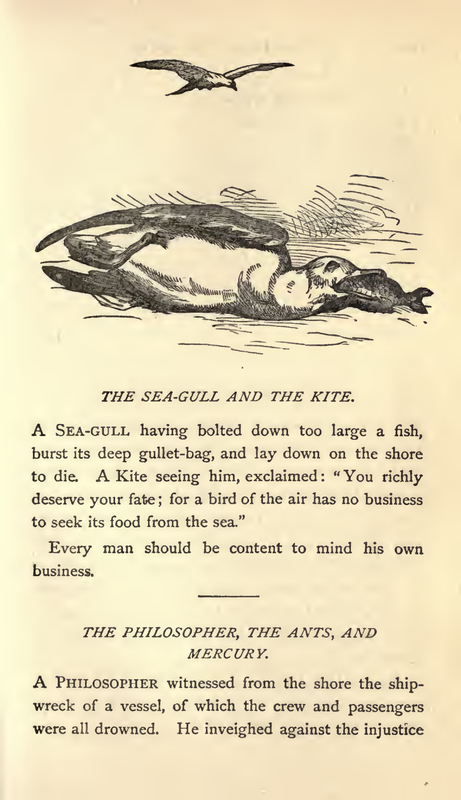 The Sea-Gull and the Kite
