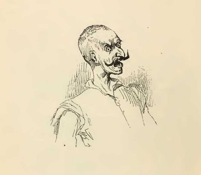 [A Portrait Don Quixote's Choler and Rage]
