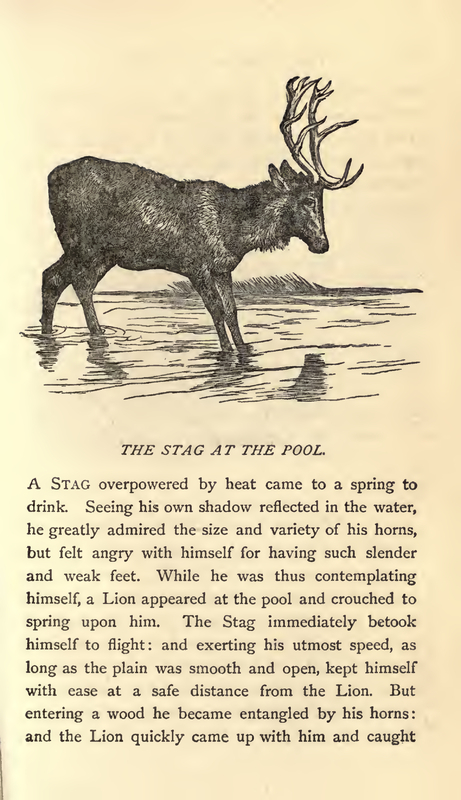 The Stag at the Pool
