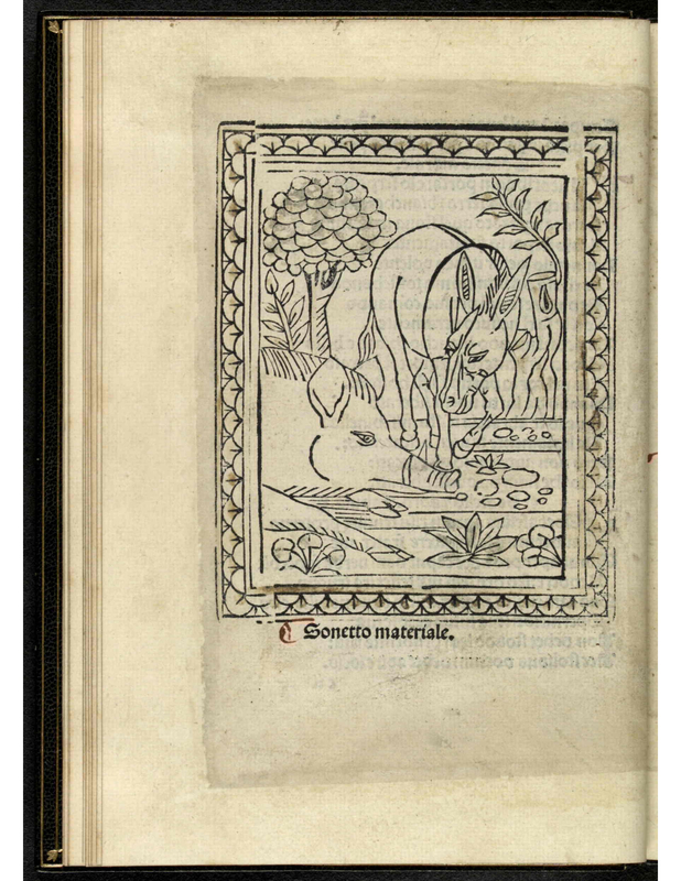 [The Donkey and the Pig]