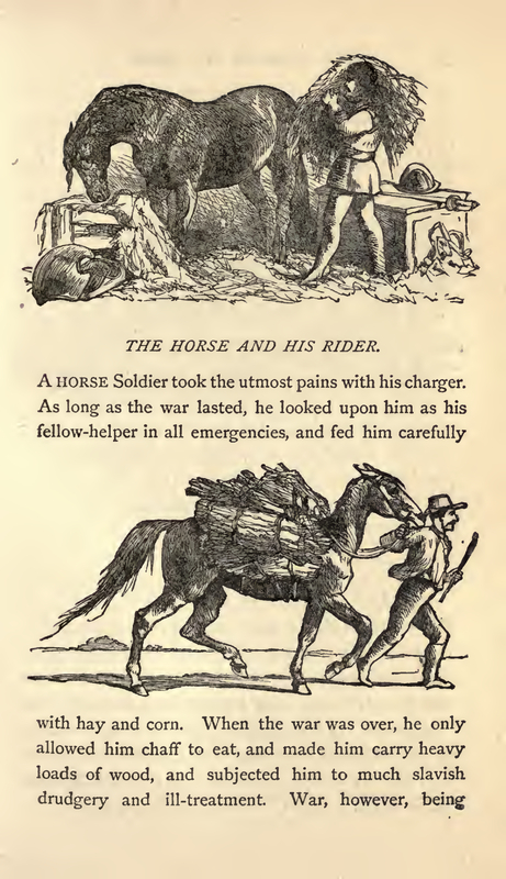 THE HORSE AND HIS RIDERS