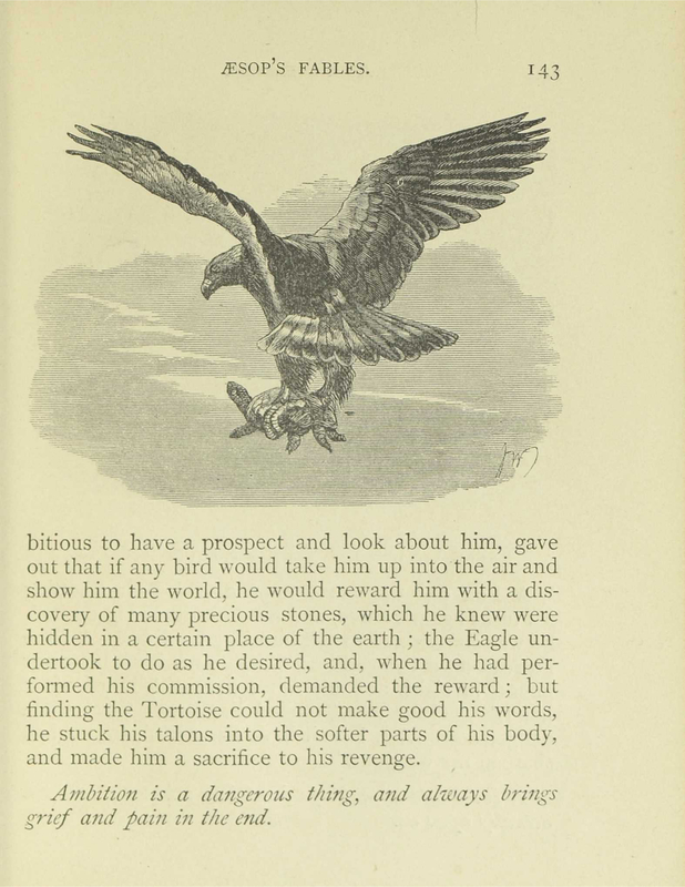 The Tortoise and the Eagle