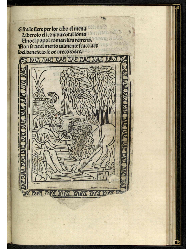 [The Man Feeding the Lion]