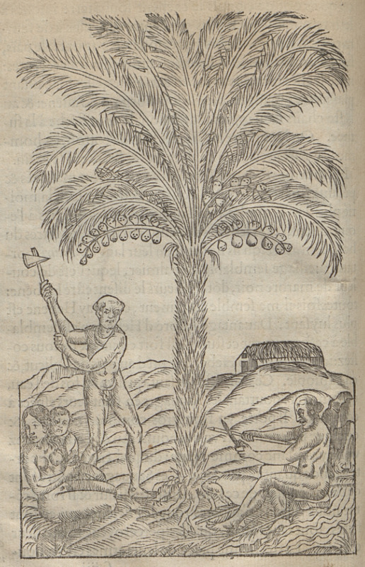 [An Indigenous Brazilian man chops down a tree]