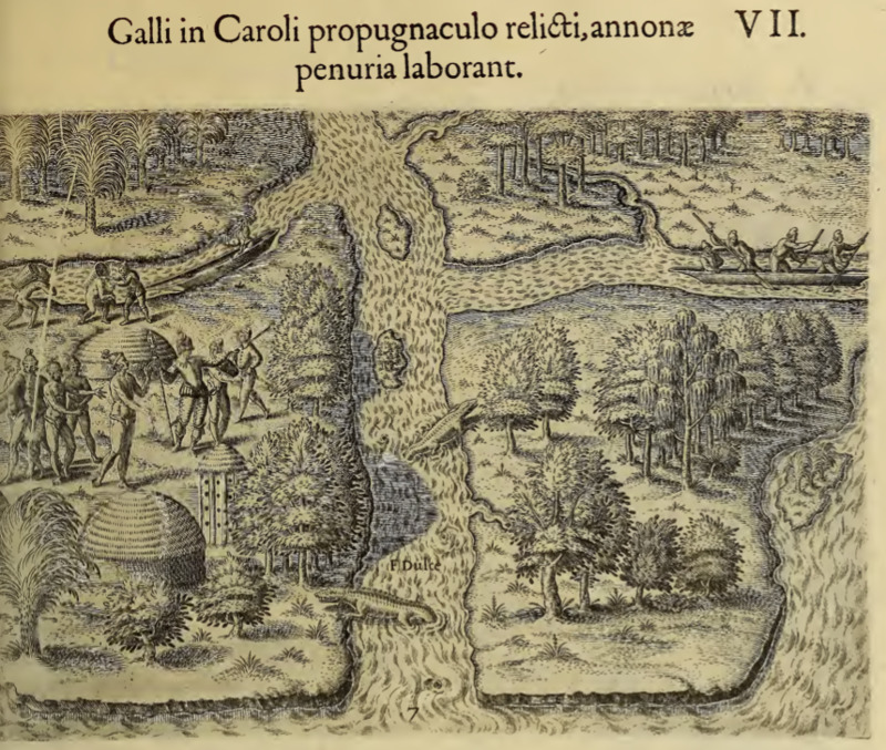 Galli in Caroli propugnaculo relicti, annonae penuria laborant. VII.