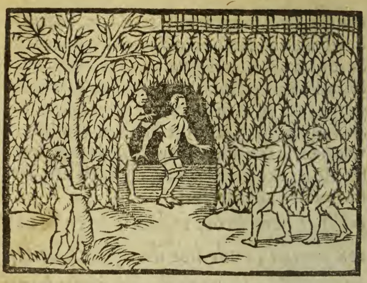 [A European man stands captive in the entrance of an Indigenous structure]