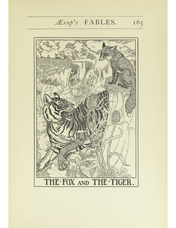 The Fox And The Tiger