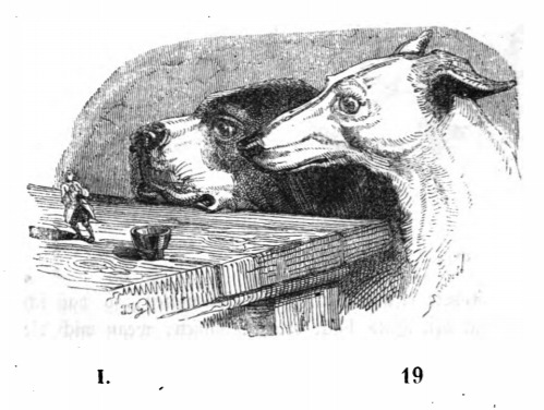 I. 19
