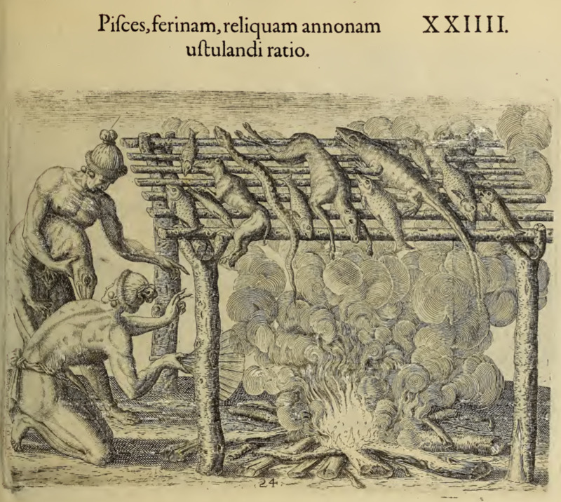 Pisces, ferinam, reliquam annonam ustulandi ratio. XXIIII.