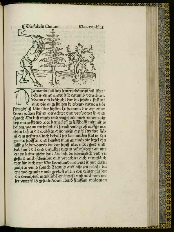 [Person Cutting Vegetation]