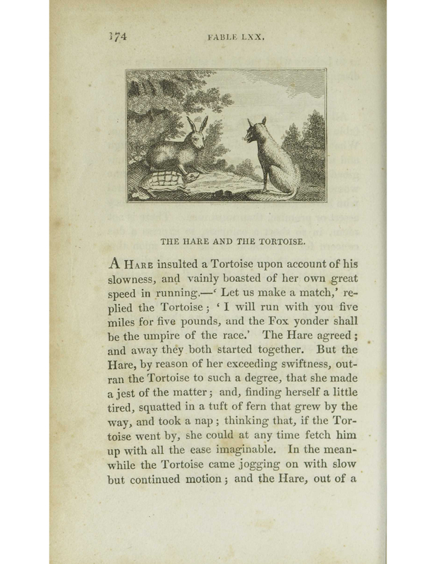 [The Hare and the Tortoise]