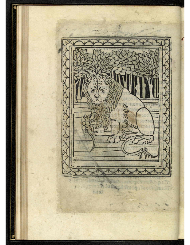 [The Lion and the Mouse]