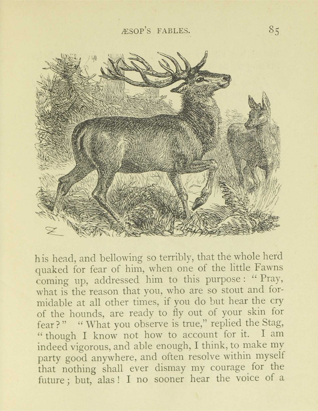 The Stag and the Fawn