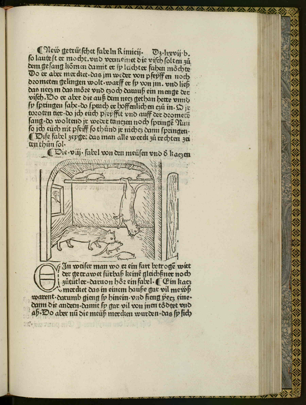 [Cats hunt mice]