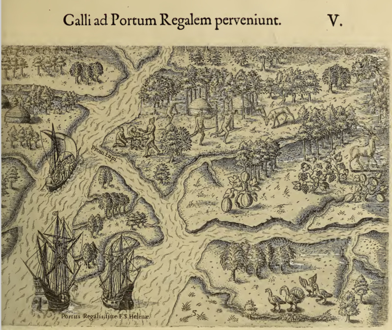 Galli ad Portum Regalem perveniunt. V.