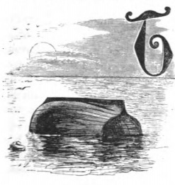 [An overturned boat off the coast of Blefuscu]