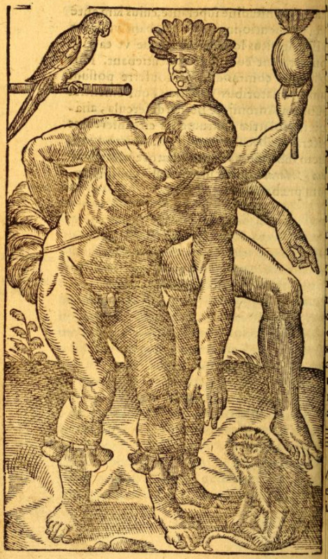 [Two Tupinambá men with a parrot and a monkey]
