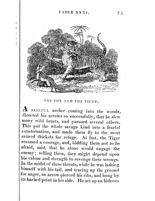 The Fox and the Tiger