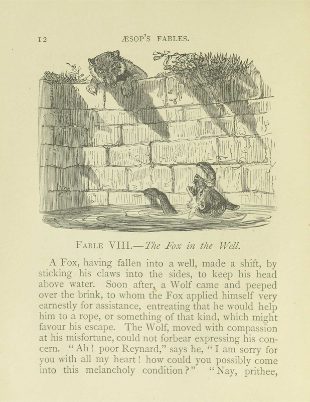 The Fox in The Well