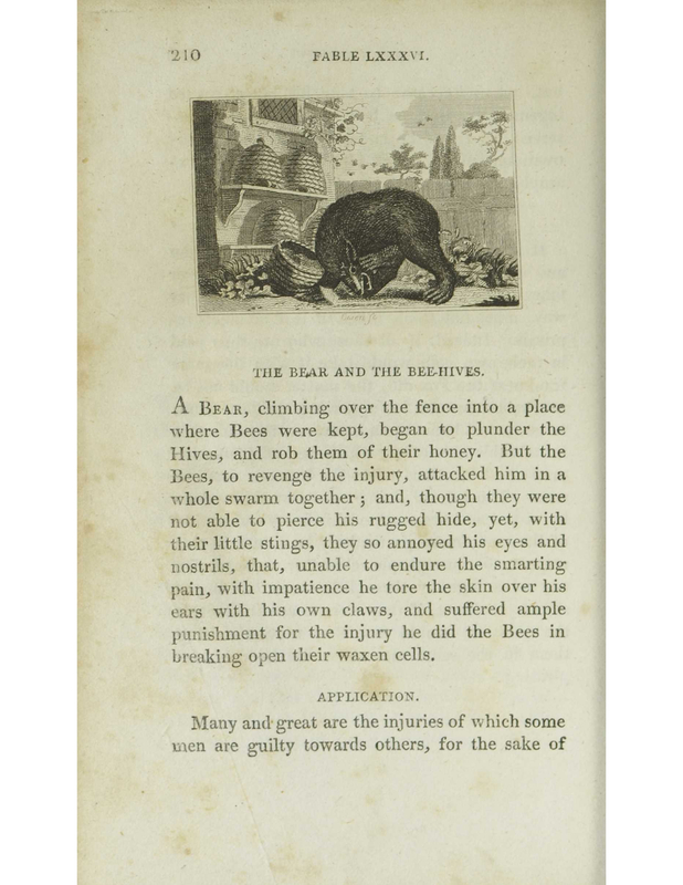 The Bear and the Beehives