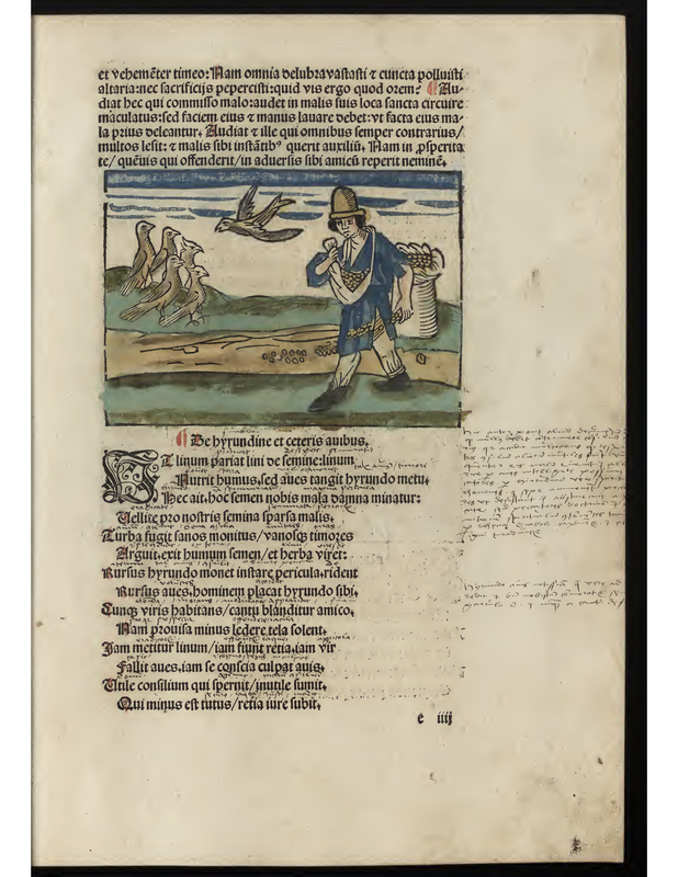 De byrundine et ceteris auibus.