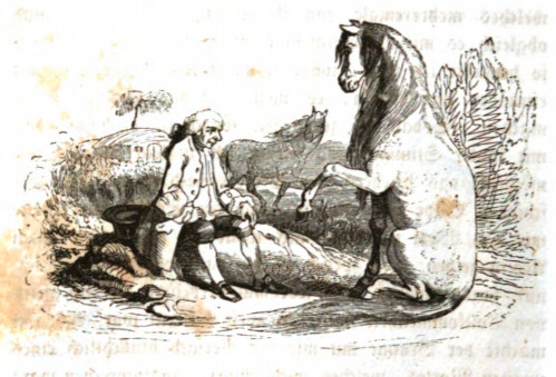 [Gulliver sits with a Houyhnhnm learning their language]