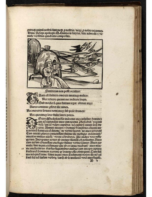 Stulticiam non pofle occultari